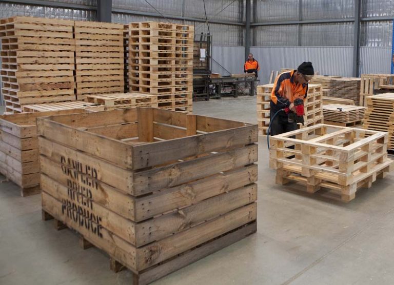 What Is Pallets And Bins at Lucille Fick blog